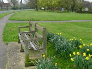 bench_on_green_3